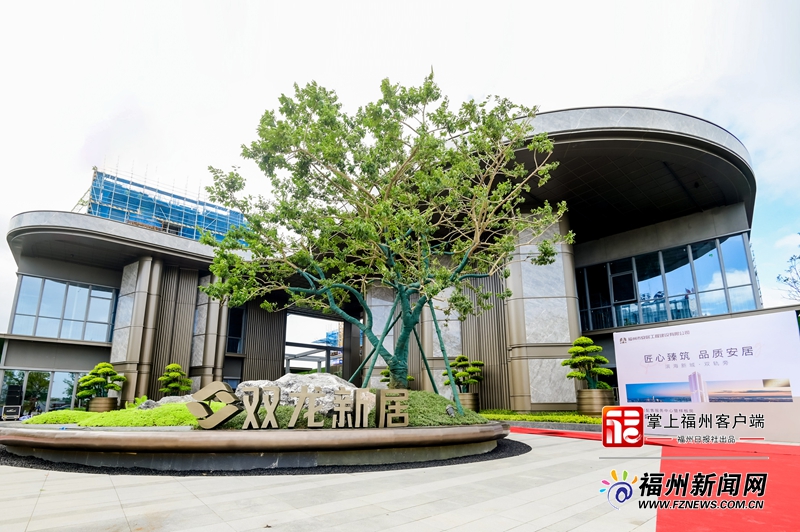 板房国庆开放 众多市民前往参观凯发k8国际登录滨海双龙新居样(图3)